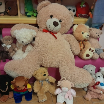 01f755f6-b454-45d0-a9b9-0fff807168d6