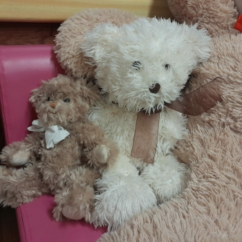 ebf166ba-b4d6-420c-b908-fd46d2de31b4